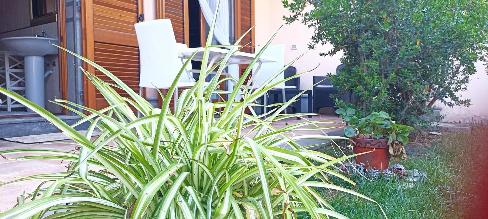Casa Lilla 1 E 2 Apartment Ористано Екстериор снимка